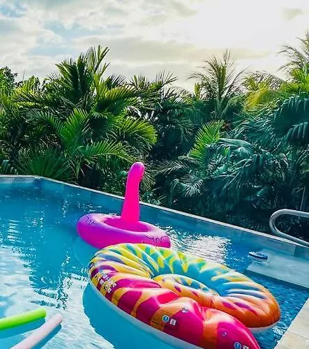 Apartamento The Coconut Palm ~ Ocean View Ll Ocho Ríos