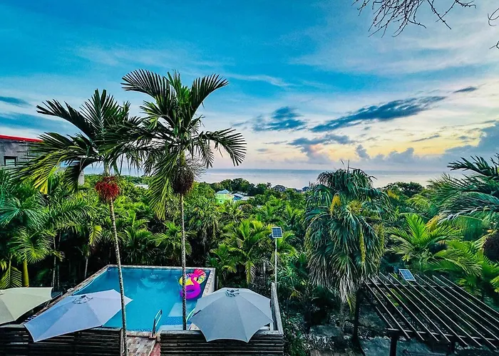 The Coconut Palm ~ Ocean View Ll Apartamento Ocho Ríos