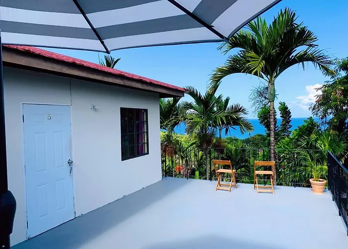 The Coconut Palm ~ Ocean View Ll Ocho Ríos