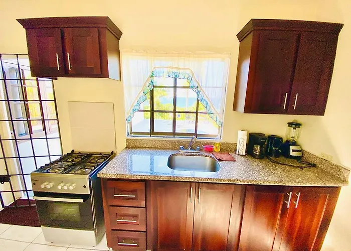 The Coconut Palm ~ Ocean View Ll Apartamento