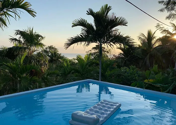 The Coconut Palm ~ Ocean View Ll Apartamento Ocho Ríos