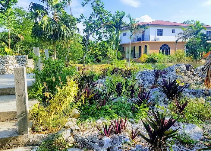 The Coconut Palm ~ Ocean View Ll * Ocho Ríos