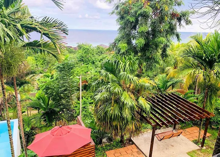 The Coconut Palm ~ Ocean View Ll