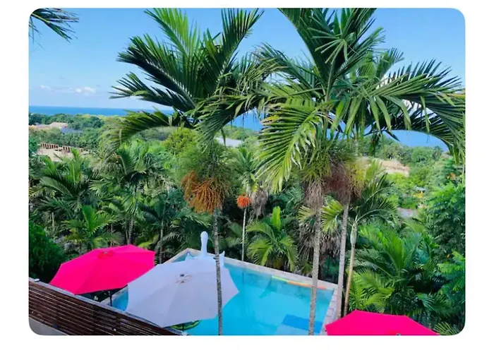 The Coconut Palm ~ Ocean View Ll